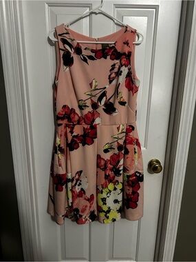 taylor Sleeveless Pink Floral A-Line Dress